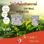 หญ้าหวาน
