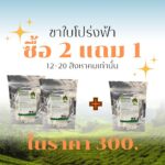 ชาใบโปร่ง
